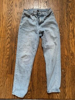 American Eagle Outfitters AEO Strigid Mom Jeans Size 00 Short